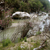 Preveli - Palmenstrand - Spiaggia delle palme 20 von 24