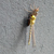 Libellula Aeshna cyanea 19 von 24