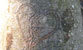 Fotogalerie Herzen Bild 81