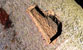 Fotogalerie Herzen Bild 86