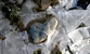Fotogalerie Herzen Bild 89